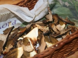 Sušené houby z trouby
