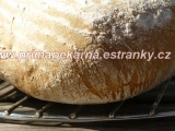 Celokváskový pšenično-žitný chléb, Celokváskový, pšenično-žitný, chléb