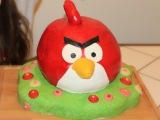 Dort ANGRY BIRDS