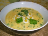 Jarní mrkvová polévka s bylinkami, Jarní, mrkvová, polévka, bylinkami