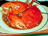 Krabi na způsob Padang kuchyně - kepiting Padang, Krabi, na, způsob, Padang, kuchyně, -, kepiting, Padang