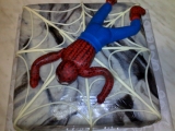 Spiderman a Miky